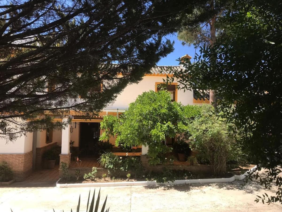 Paredejas del Rey Priego de Córdoba Exterior foto